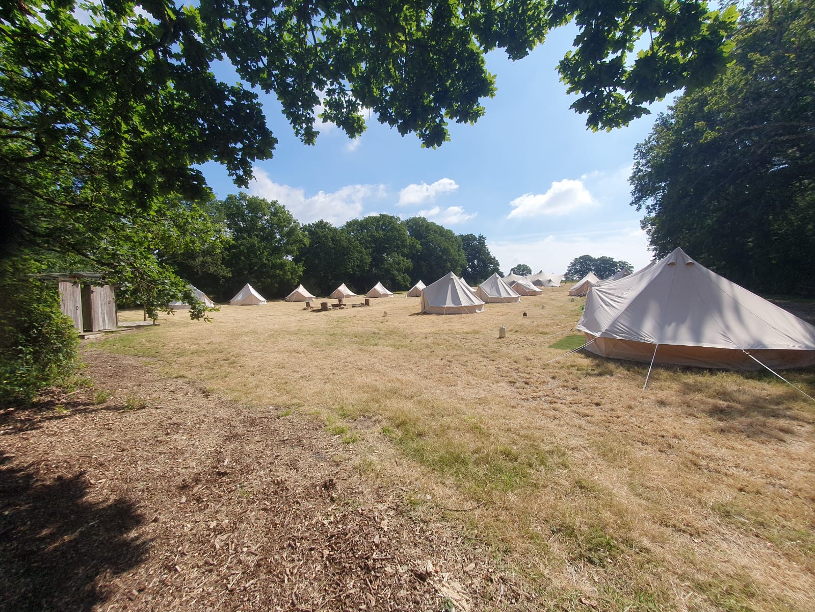 Glamping field with several white bell tents pitched across dry grass beneath trees