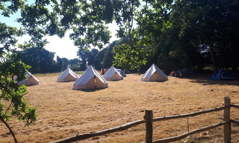 Multiple bell tents in a dry summer meadow seen through the shade of an oak tree canopy with a rustic fence in the foreground