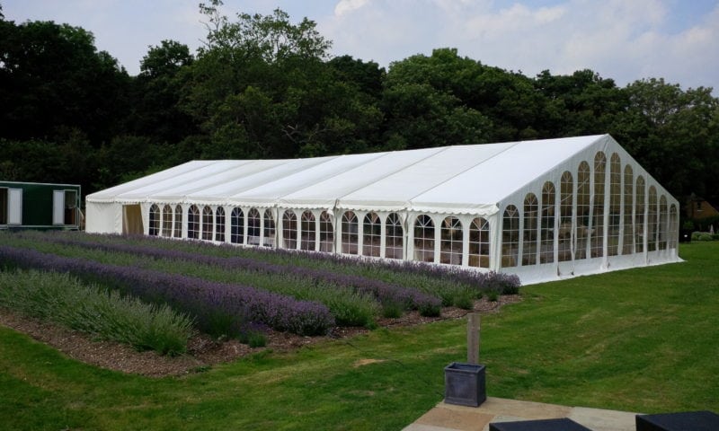 A large clearspan marquee beside a lavender border in full bloom on a sunny day at a country estate