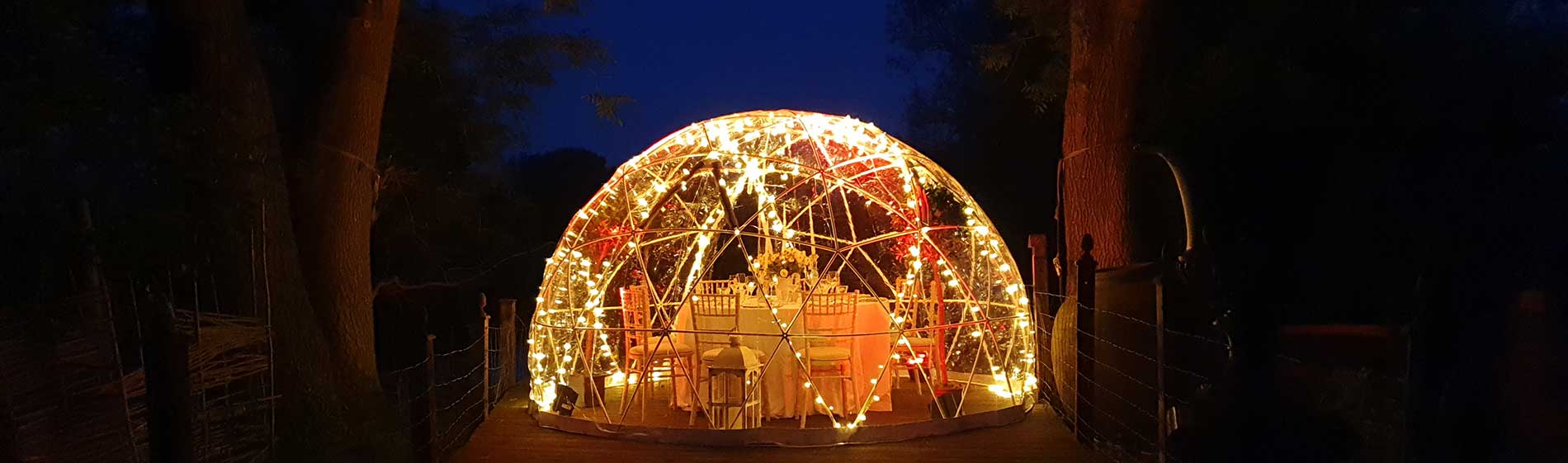 A geodesic dining dome entirely covered in fairy lights, glowing gold against dark woodland at night